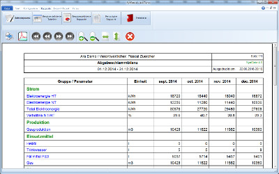 Periodischer Rapport